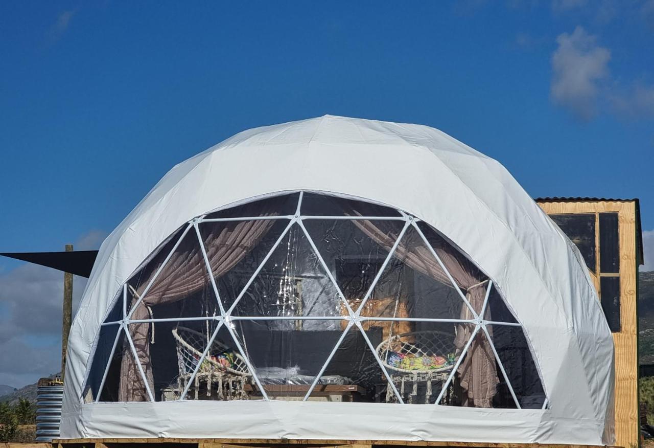 Hotel Pom Gratz - Ecodomes Hartebeesrivier Exterior foto